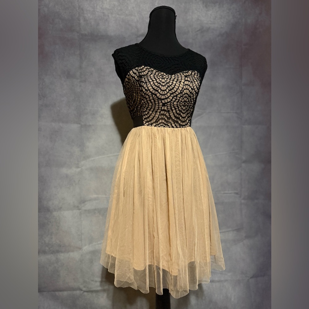 Mystic Nude & Black Lace Fit-and-Flare Dress